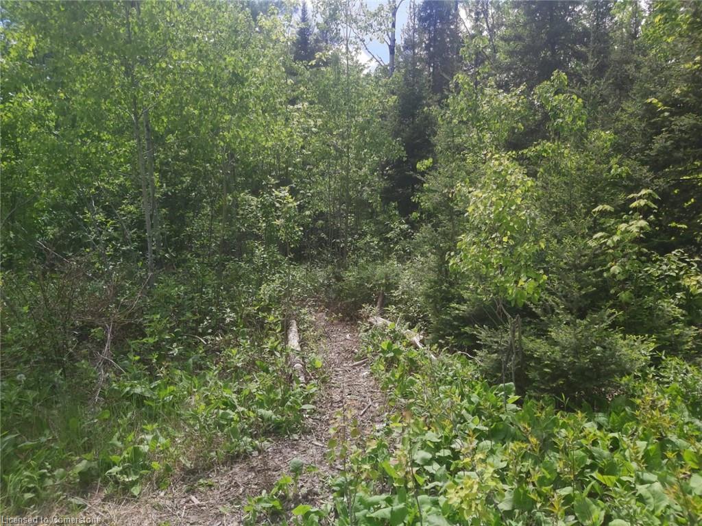 N/A Nepewassi Lake Road, MarkstayWarren, Ontario P0M2G0 For Sale