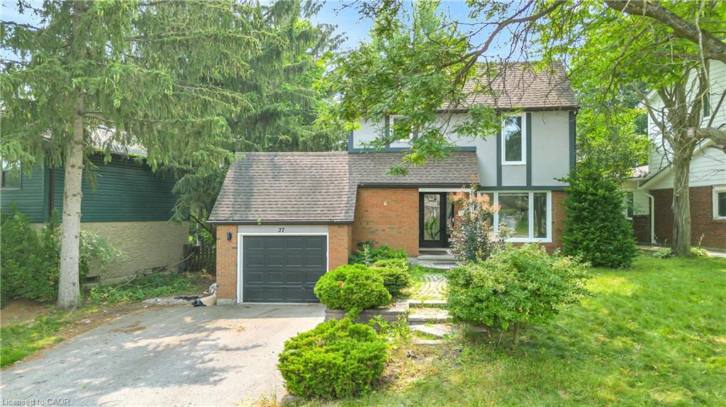 37 Ferman Drive, Guelph 3