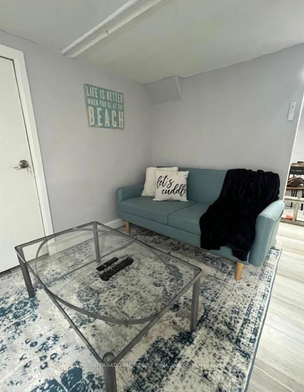 Unit Lower - 132 Grace Street, Toronto 5