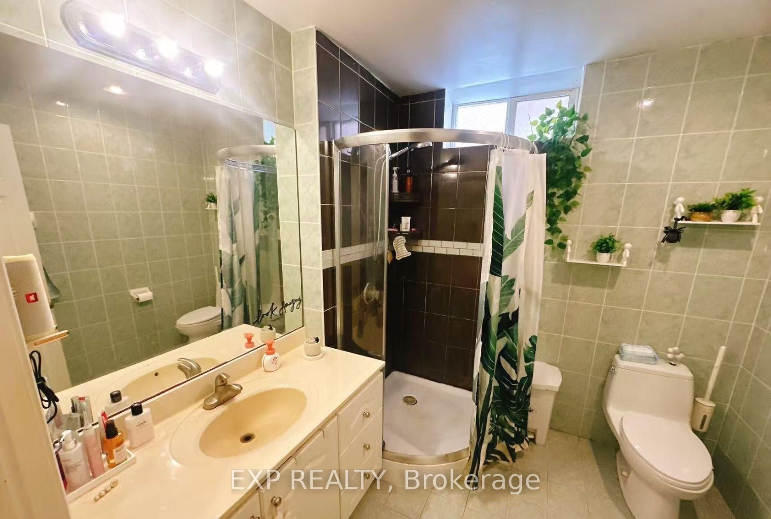 Unit Basement - 123 Steeles Avenue E, North York 3