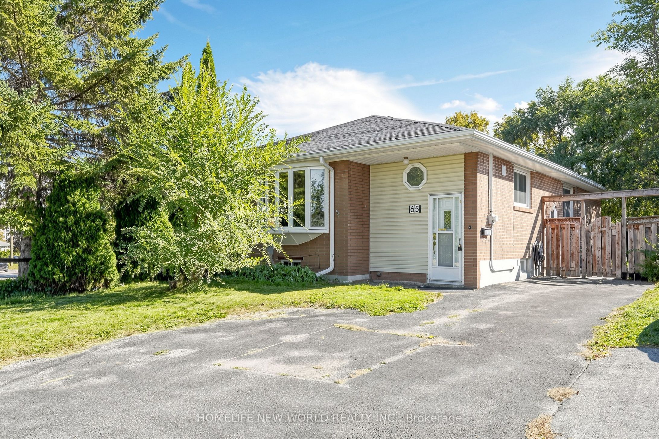 Unit BSMT - 65 Walter Avenue, Newmarket 1