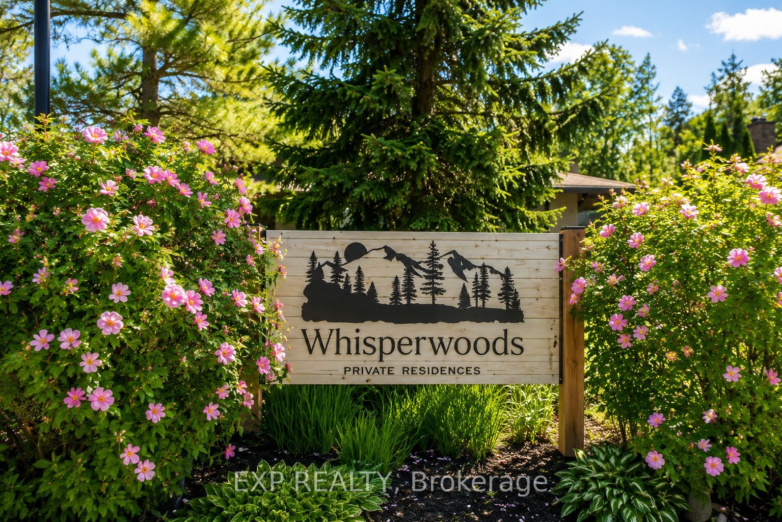 9 Trafalgar Road, Collingwood 5