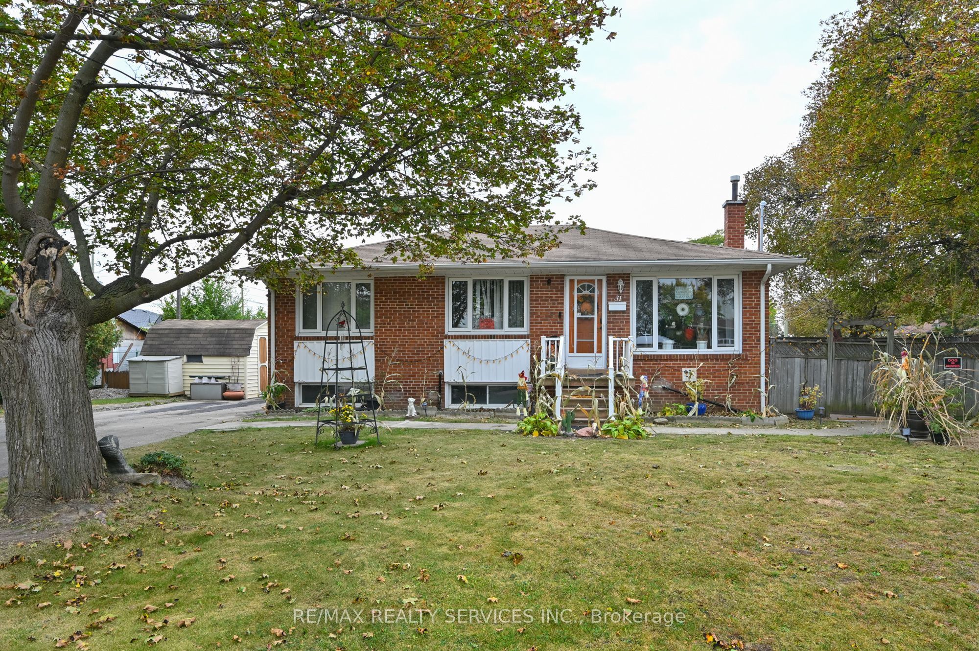 31 Brisco Street, Brampton 2
